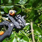 Grafting Shears For Gardening - Vendlett
